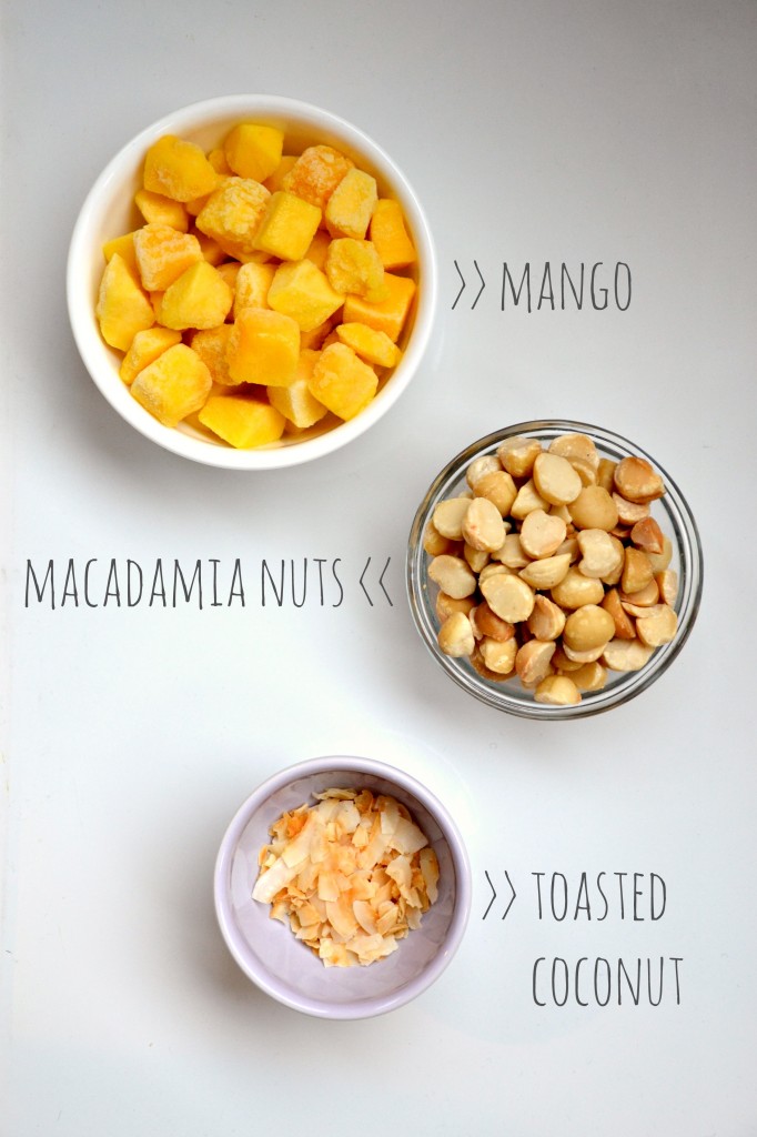 Vegan Mango Sorbet Bars flavours