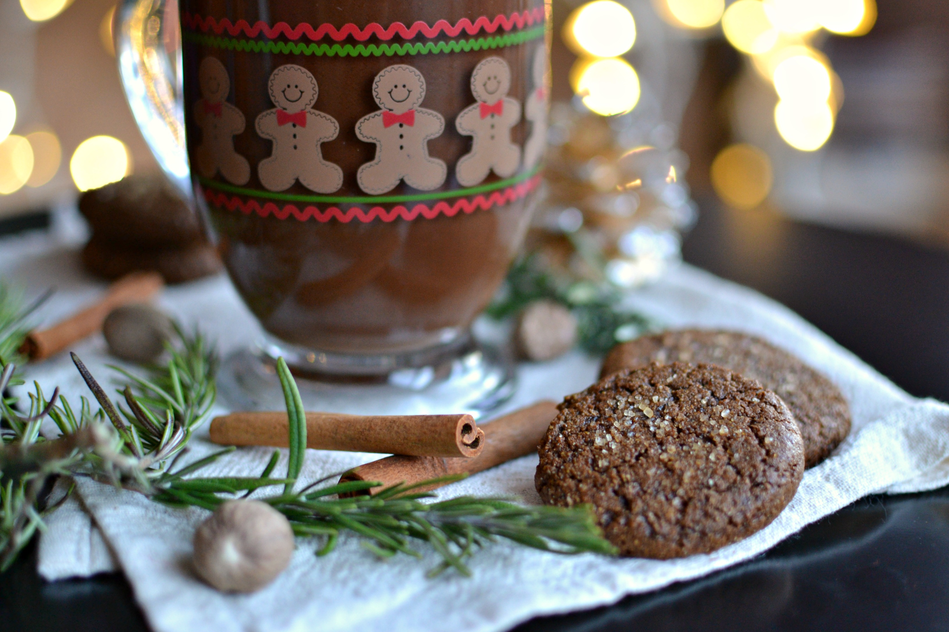 Gingerbread Hot Chocolate 3