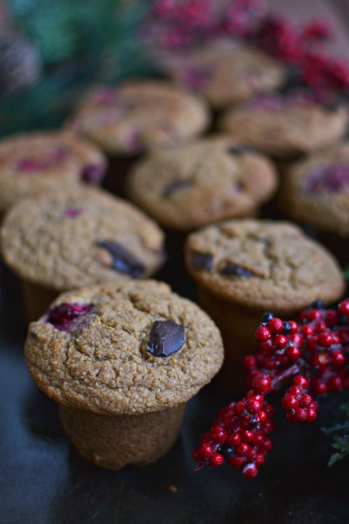 chocolate-cranberry-muffins-3