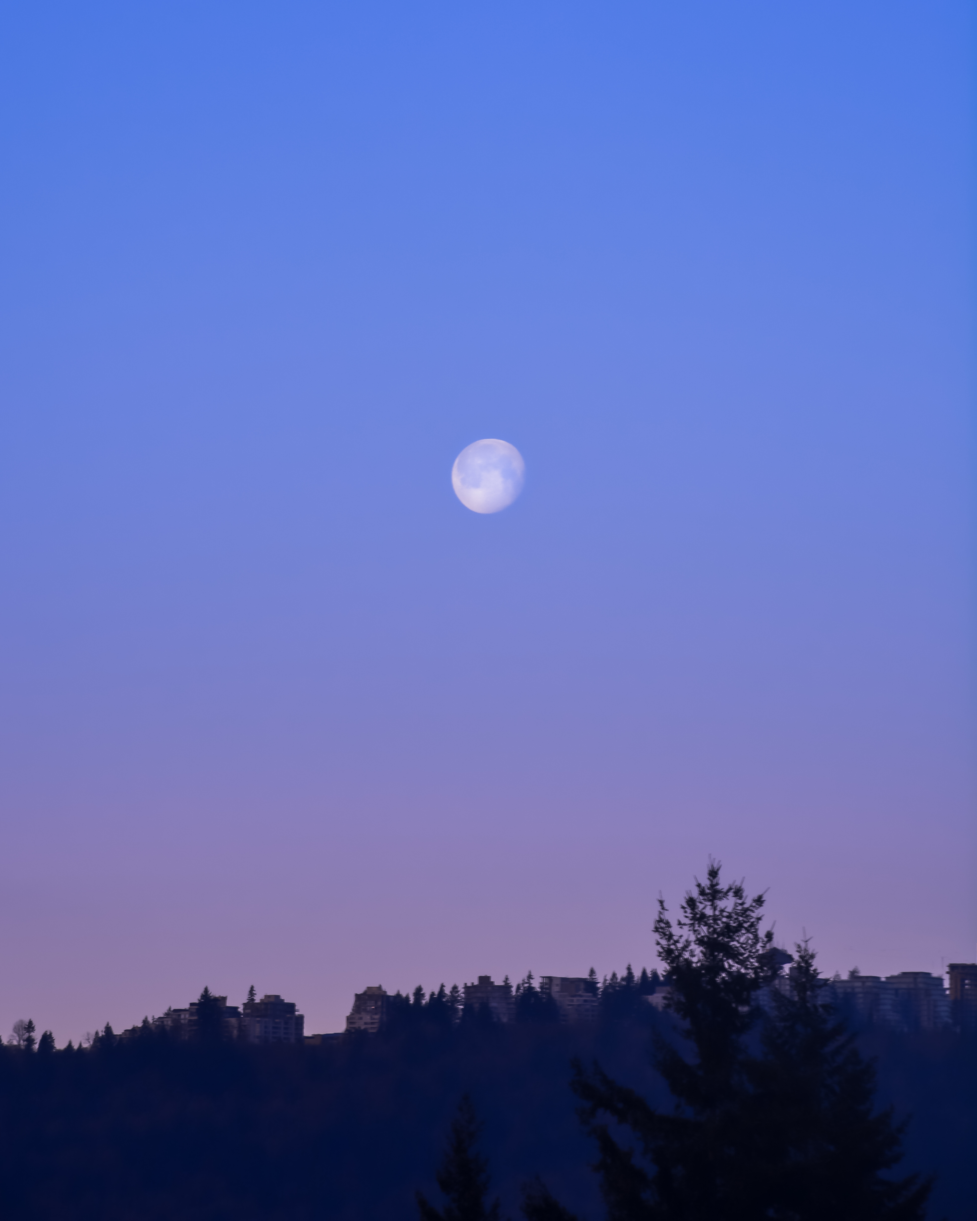 [Image: Morning-Moon.jpg]
